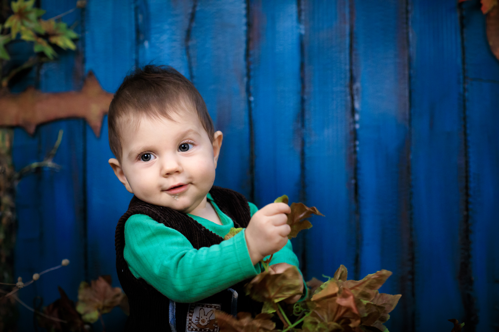 Mihaita la casuta0100